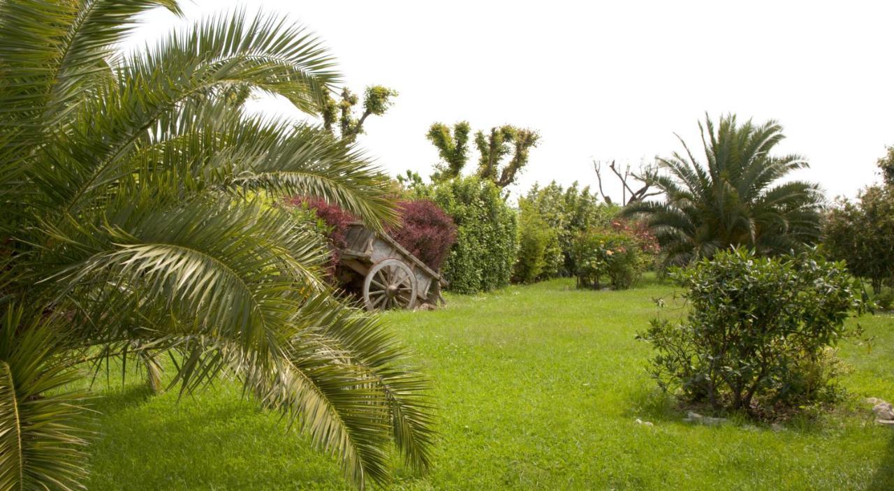 كاميرانو Il Girasole Country House المظهر الخارجي الصورة